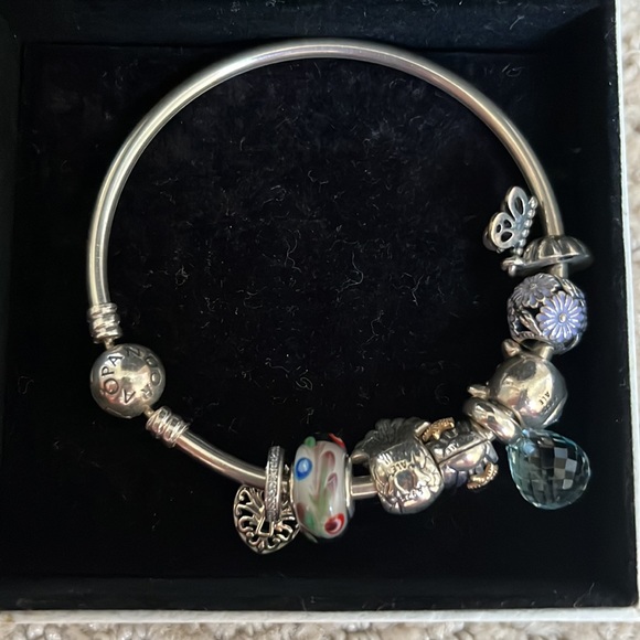 Pandora Bangle Bracelet with 8 charms - Picture 3 of 5